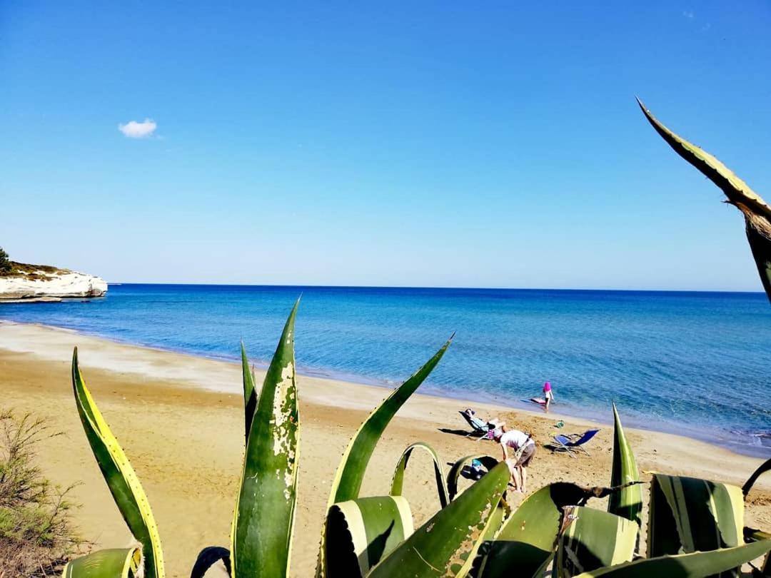 Casa La Conchiglia Sulla Spiaggia Lido di Noto Extérieur photo